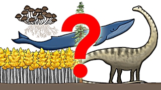 El Organismo más Grande de la Tierra