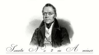 Carl Czerny - Piano Sonata No. 2 in A minor ~ I. Molto Allegro [1/5]