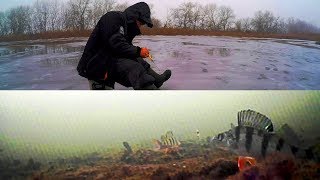 Зимняя рыбалка | Вид из подо льда