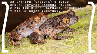 Лекция Эдуарда Галояна "Жизнь с самцами и без: варианты отношений у разных видов животных"