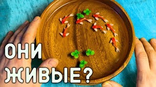 ? 3D-КАРТИНА из эпоксидки своими руками.