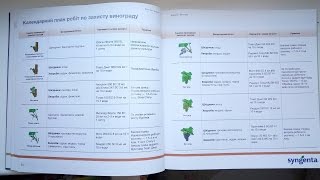 Схема обработки виноградных кустов от болезней, от Syngenta. Виноград 2017.