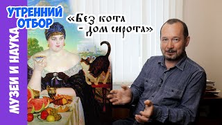 Как образумить кошку? Игорь Фадеев