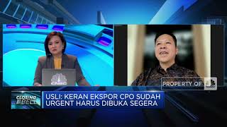 Pengusaha Sawit Ungkap Potensi Kerugian dari Larangan Ekspor CPO