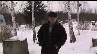 СИНИЦЫ НА ПАСЕКЕ