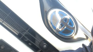 AUTOPAPA 28 января прогулка по ценам 2020