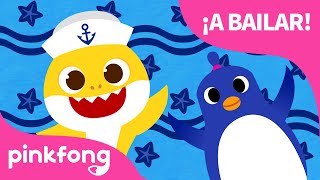 Tiburones y Pingüinos, ¡A Bailar! | Verano | Animales | Pinkfong Canciones Infantiles