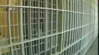 America's Brutal Prison Clips