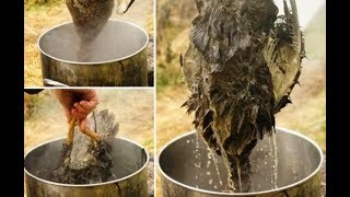 Как быстро ощипать петуха,курицу.