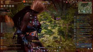 Black Desert - Dark Knight 2 v 4 PVP Montage (2018)