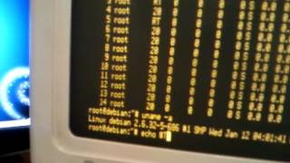 QVT 320 Dumb terminal LINUX debian 6.