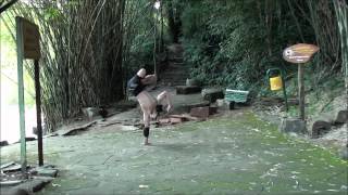 Pclegz o gato de Brotas