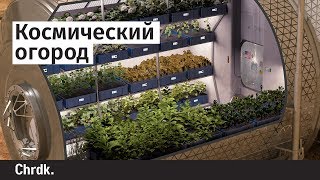 Космический огород