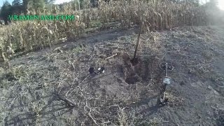 Поиск монет двумя металлоискателями на огороде.