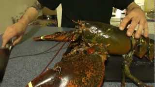 S2-04 Pack A Lunch - Lobster 3 Ways, Baked, Beer-steamed, Boiled