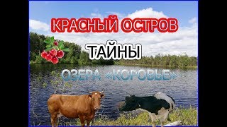 ПОЕЗДКА НА КРАСНЫЙ ОСТРОВ / ЛЕГЕНДЫ ОЗЕРА "КОРОВЬЕ"
