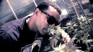 NAPALM Feat SUPA CUZZ "Kush state of mind" official joint