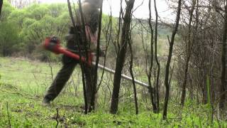 husqvarna 265rx clearing saw cutting plum