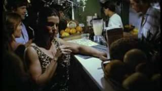 night bird 1981