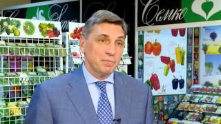 Высокорослые черри томаты для теплиц. Советы и секреты. Выпуск 12