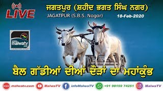 LIVE ? JAGATPUR (S.B.S Nagar) OX RACES  ਬੈਲ ਗੱਡੀਆਂ ਦੀਆਂ ਦੌੜਾਂ [18-Feb-2020] HelpLine +91 82840 43902