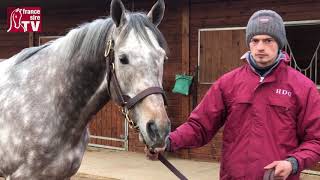 RDE 2019 : Haras de Grandcamp avec Chemical Charge & Sumbal
