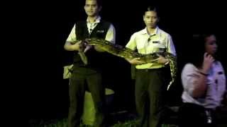 シンガポール動物園 ナイトサファリ　Singapore Zoo