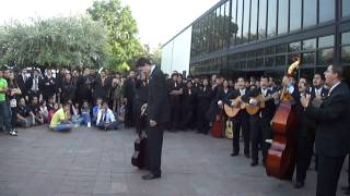 rondalla del desierto! Terrenal