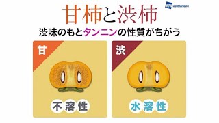 柿がおいしい季節 甘柿と渋柿の違いは？
