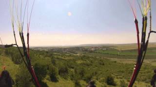 treetop flyer
