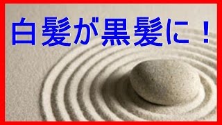 【美髪】予防だけじゃない！諦めていた白髪が黒髪に！