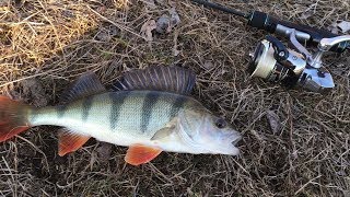 Мормышинг!  Как ловить окуня когда он игнорирует джиг?  | Рыбалка с Fishingsib