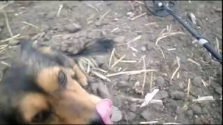 Коп с неожиданной находкой.