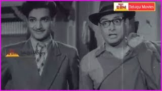NTR Best Scenes - Sangham Old Telugu Movie Scenes | Rose Telugu Movies