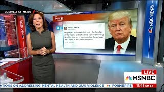 MSNBC’s Ruhle Lists GOP ‘Thoughts And Prayers’ And Dollar Amounts Of NRA Donations They Received