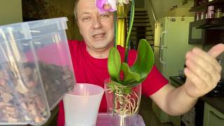 ПРАКТИЧНАЯ ПЕРЕСАДКА ОРХИДЕИ с возможностью разного полива орхидей