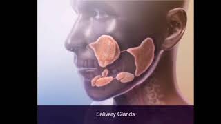 Chewing and Swallowing