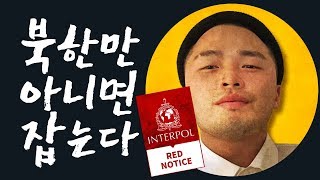 인터폴 적색수배가 내려지면 발생하는 일