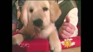 QVC Host Memories: QVC Bloopers