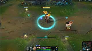 Championship Hot Dog Ward Skin + Conqueror Ward Skin 2019