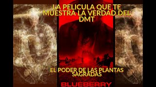 LA VERDAD DETRAS DEL DMT