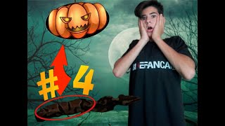 Pitone Reale mangia topo VIVO (SPECIALE HALLOWEEN 11 video EP.4)