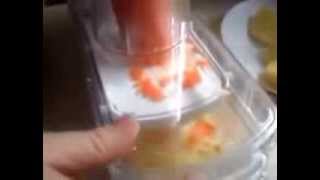 Овощерезка электрическая КАТЮША Electric Mandoline Slicer 1420 руб