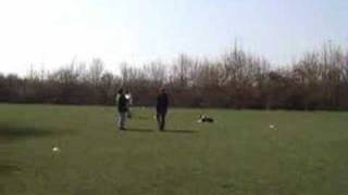 Obedience O1
