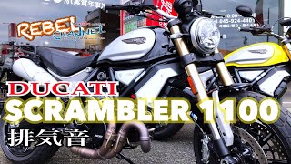 DUCATI SCRAMBLER1100 ドゥカティ スクランブラー1100  排気音 マフラー