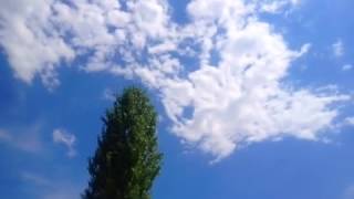 мерке