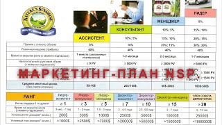 Маркетинг план компании NSP.