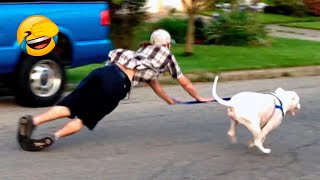 Best Funny Animal Videos 2022 - Funniest And Cute Dogs And Cats Videos ????