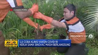 Bio Farma akan Distribusikan Vaksin Corona Hasil Kerja Sama dengan Sinovac
