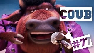ЛУЧШИЕ COUB 'ики #77: Медведь качает Толпу